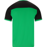 Forza Alberti Men Tee Green