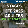 Stage Badminton Adultes Vallon-Pont-d'Arc Été 2025